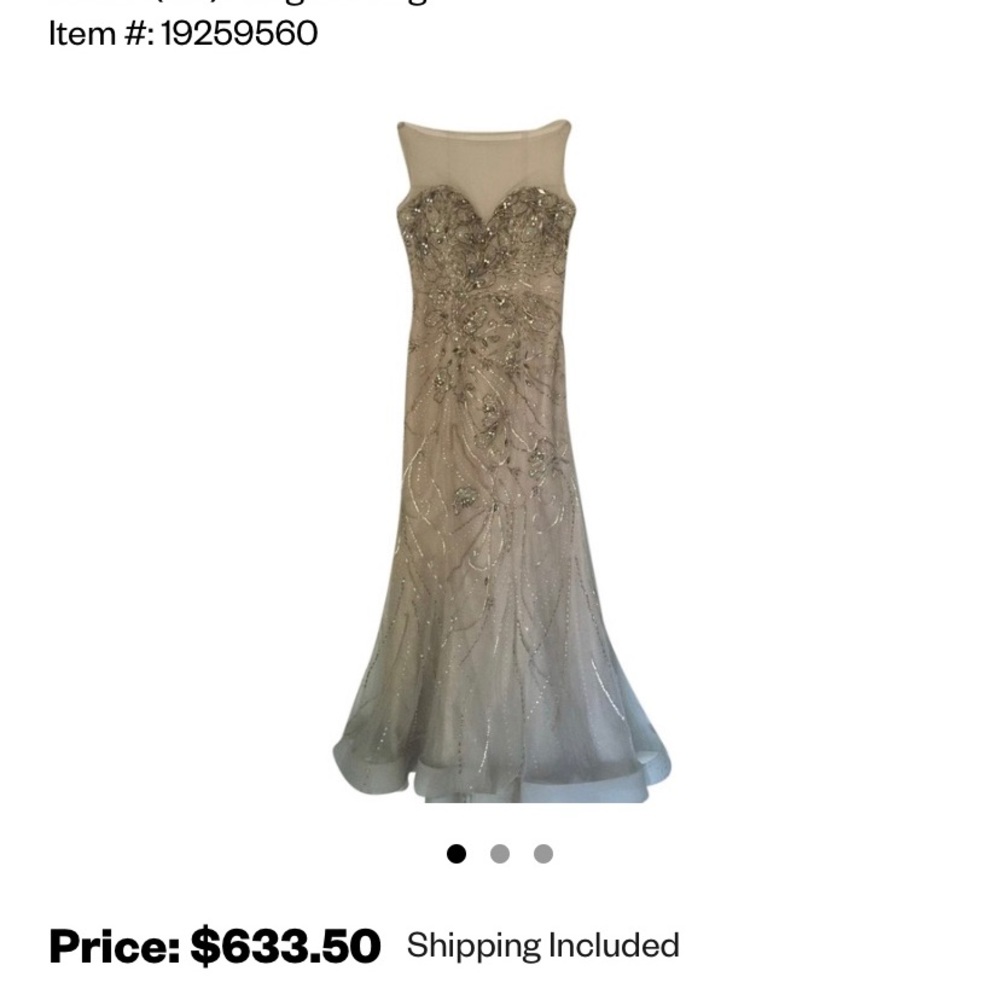 Terani Couture RN 95375 Formal Dress - Size 14